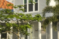The Lazy Tree Bayshore Drive & Front of House
